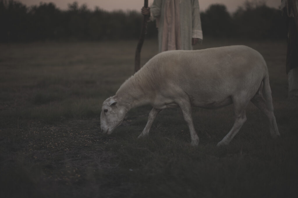 En busca de la intimidad con Cristo