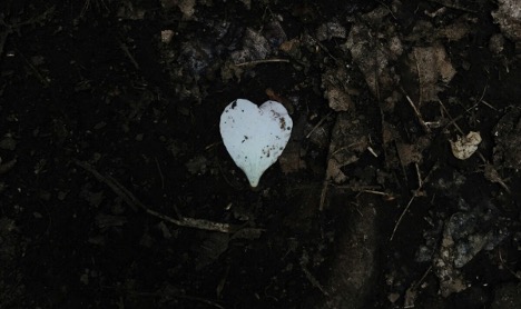 Liderar sin perder el ánimo